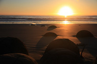 国际成绩如何申请新西兰高校