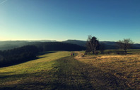 新西兰留学：奥克兰大学药剂专业