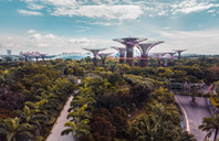 新加坡留学如何补办相关证件