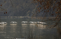 美国留学指南：本科双录取详解