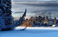 新加坡留学：詹姆斯库克大学新加坡校区