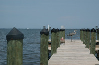 免试语言考取美国硕士途径