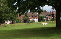 英国留学：剑桥大学