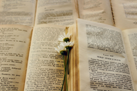 留学干货:托福考试阅读生词怎么破