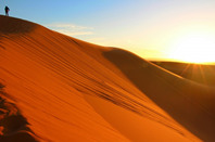 澳洲留学:弗林德斯大学