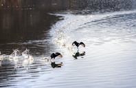 澳洲留学:斯威本科技大学