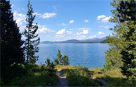 加拿大卡尔顿大学金融经济学专业录取要求