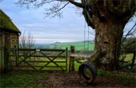 新西兰大学的环境政策专业