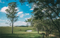 美国艺术史硕士专业