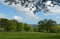 美国哪些大学有乐队指挥硕士专业