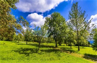 北卡罗来纳大学教堂山分校药学专业