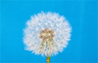 纽约州立大学石溪应用数学专业