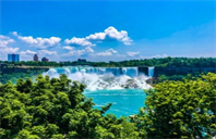 加拿大萨斯喀彻温大学专业