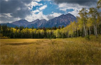 利莫瑞克大学数据科学与统计学习硕士专业