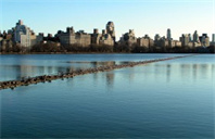 华盛顿大学房地产硕士专业