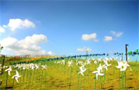 乔治华盛顿大学的通信工程专业