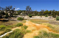 美国南加州大学工商管理专业