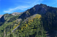 纽约大学帝势艺术学院表演专业