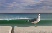 密歇根大学安娜堡分校数学专业