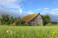 凯斯西储大学生物医学工程专业