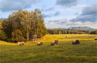 美国犹他大学会计研究生专业