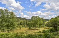 美国犹他大学数学系专业