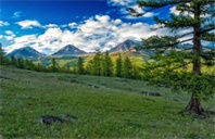 美国罗切斯特大学金融专业