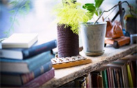 美国堪萨斯州立大学数学专业