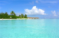 美国杜兰大学能源管理专业