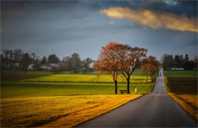 美国维克森林大学化学专业