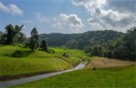 美国约翰霍普金斯大学CS专业