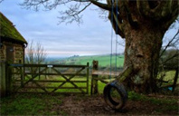 美国华盛顿大学供应链管理硕士专业