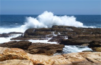 美国华盛顿大学计算金融与风险管理硕士专业