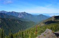 美国北卡罗来纳大学教堂山分校商业分析