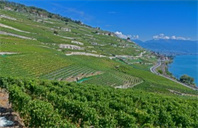 美国麻省理工学院信息系统硕士