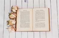 康涅狄格大学教育专业