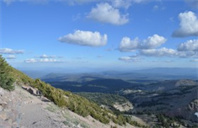 佩伯代因大学全球商业硕士专业