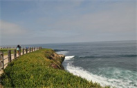 美国布朗大学经济学专业