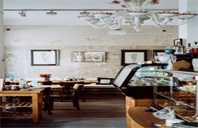 芝加哥大学法律专业