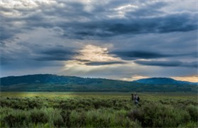 旧金山艺术学院摄影硕士专业