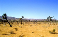 印第安纳大学伯明顿分校铜管演奏硕士专业