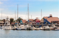 美国福特汉姆大学市场营销本科专业