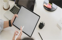 美国布兰迪斯大学历史硕士专业