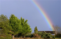 美国布兰迪斯大学MSBA专业