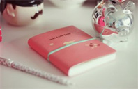 雪城大学建筑硕士专业