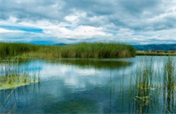 宾夕法尼亚州立大学税收学硕士专业