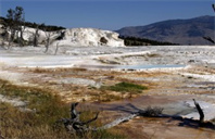 伯克利音乐学院全球娱乐与音乐商业硕士专业